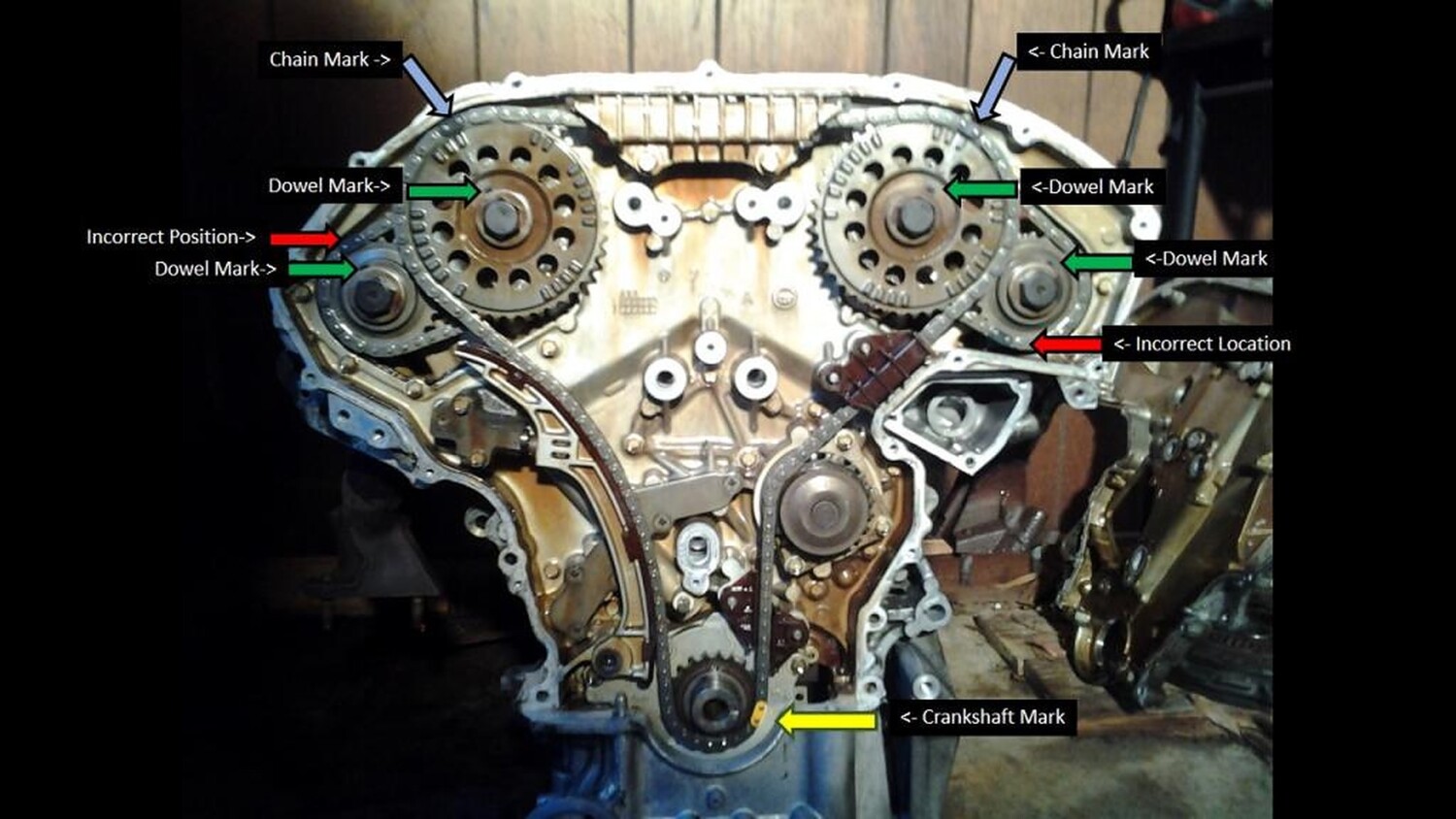 2005 nissan maxima top timing chain